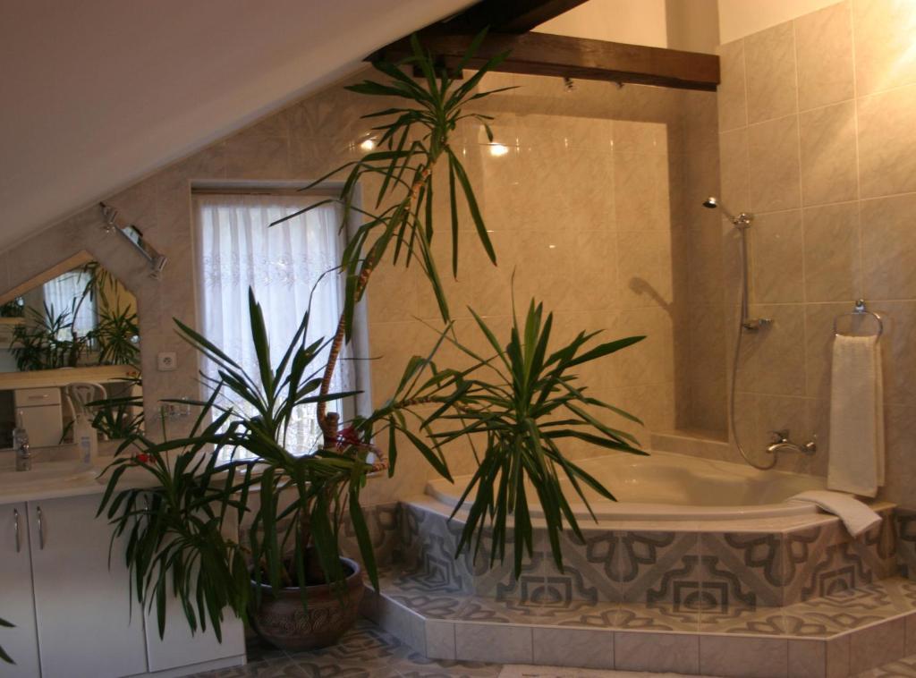 Apartament typu Exclusive
